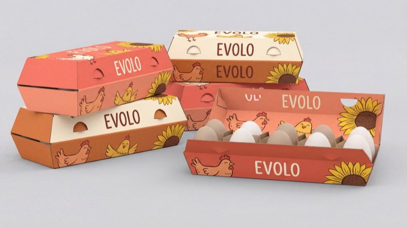 10-Egg Carton view 6