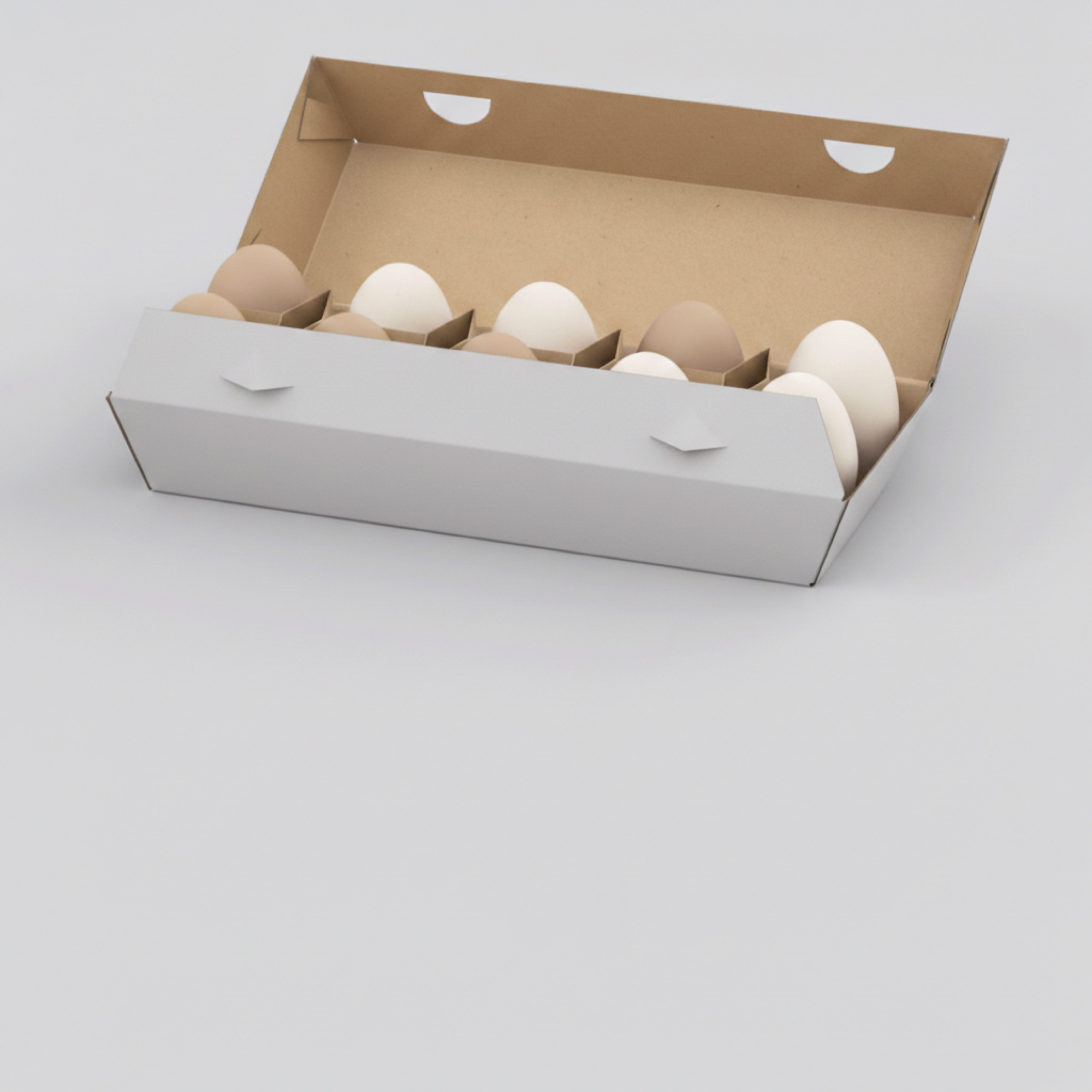 10-Egg Carton view 2