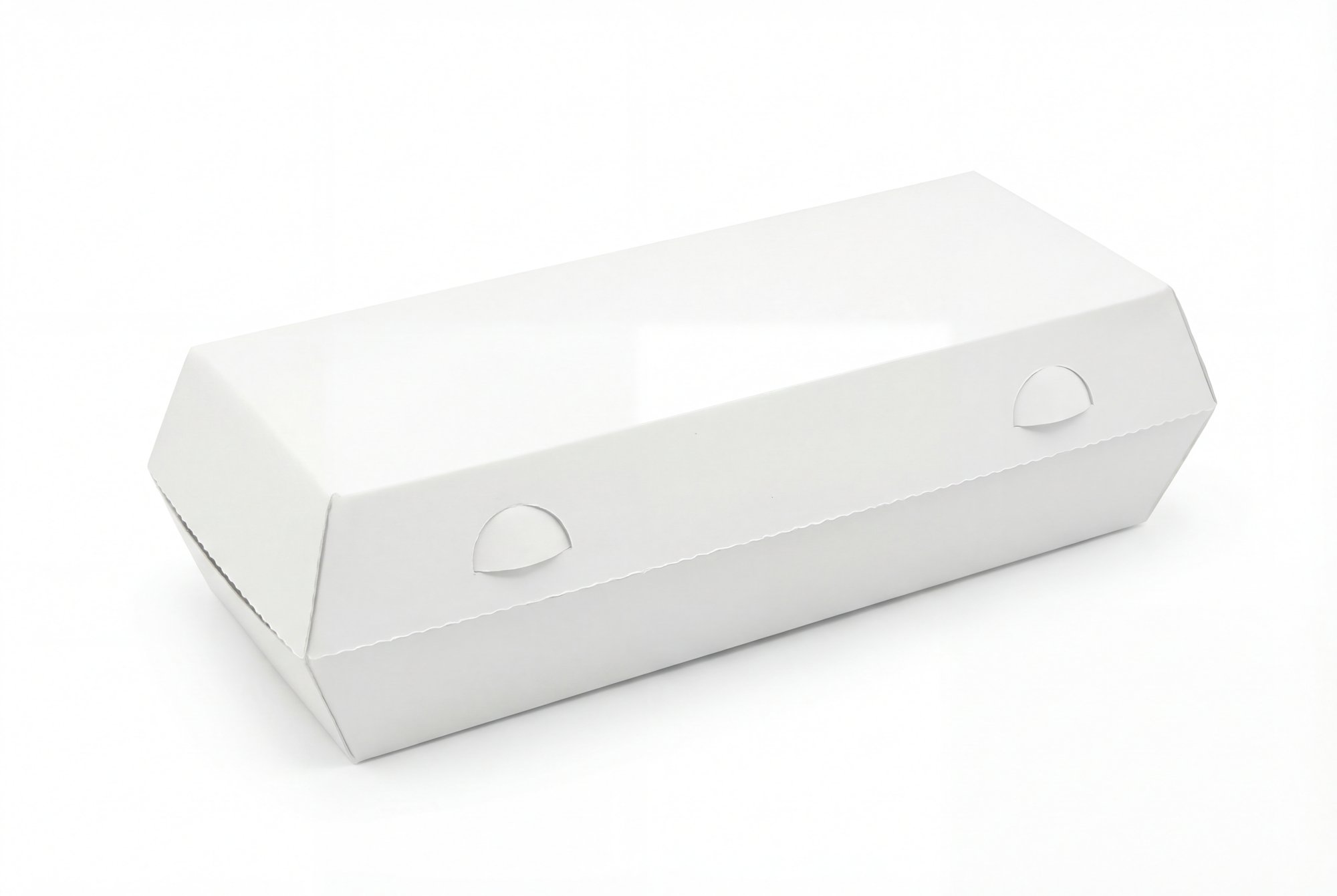 10-Egg Carton view 3