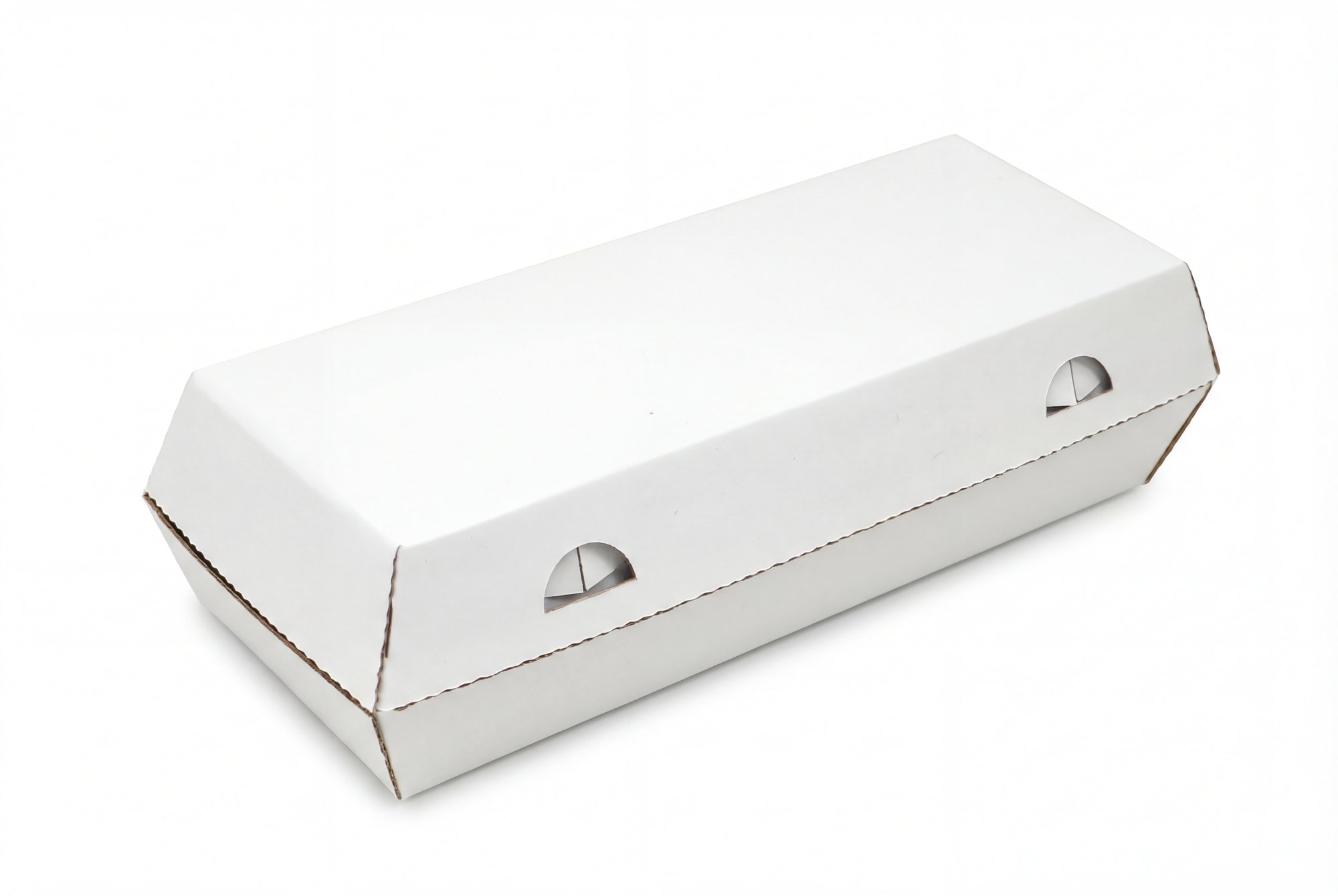 10XL Carton view 2