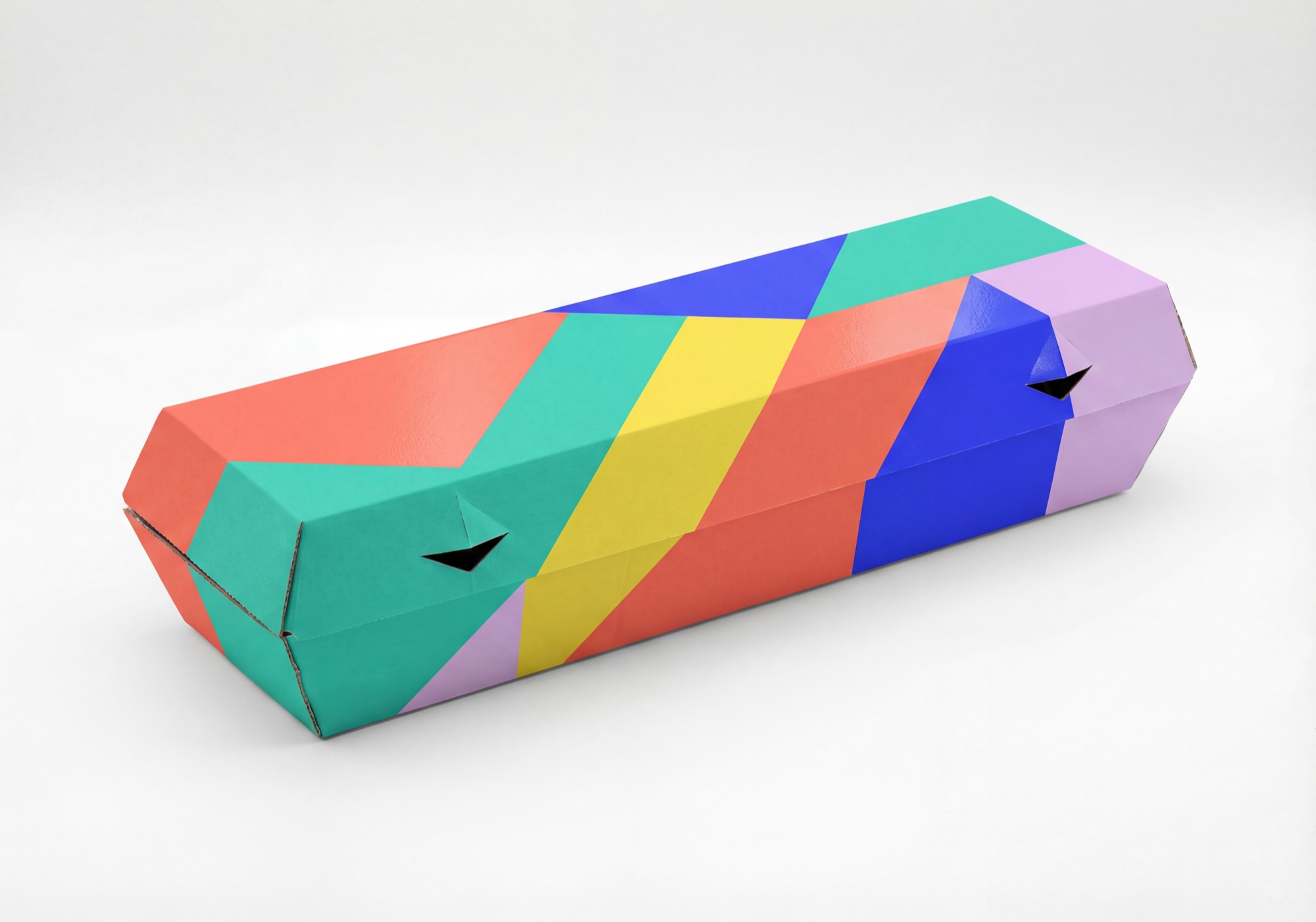 12-Egg Carton view 5