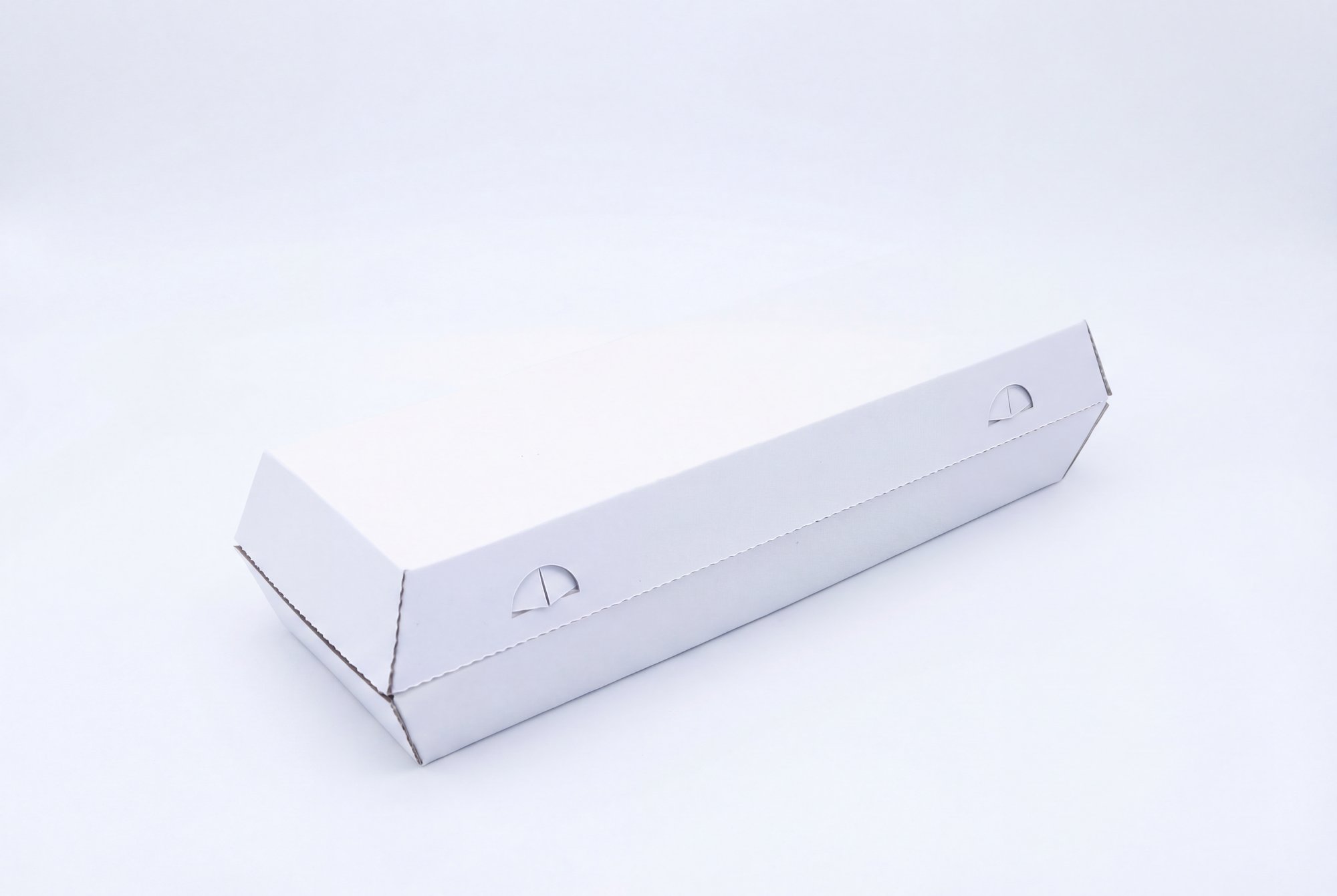 12XL Carton view 2