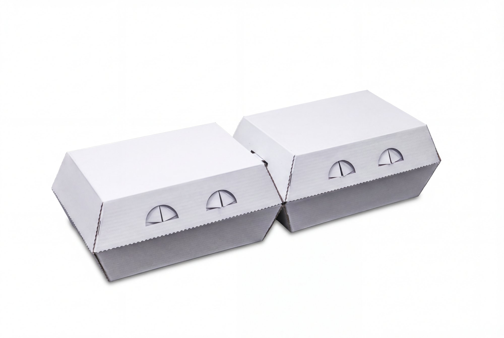 6-Egg Carton view 2